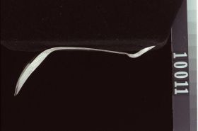 Image representing Spoon.