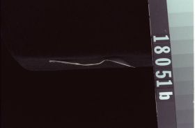 Image representing Cellar; Spoon.