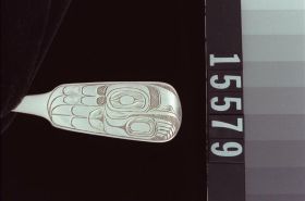 Image representing Spoon.