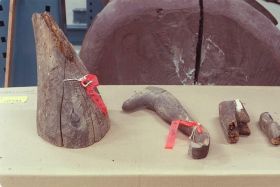 Image representing Canoe; Figure.