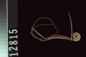 Image representing Basket.