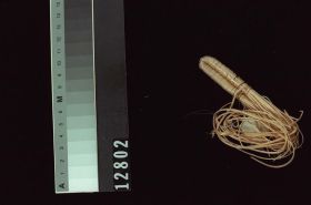 Image representing Basket.
