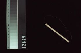 Image representing Raw Material.