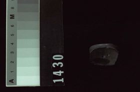 Image representing Labret.