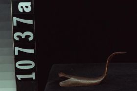 Image representing Hook.