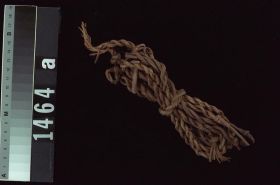 Image representing Cord.