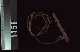 Image representing Spear.