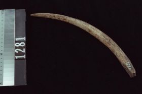 Image representing Knife.