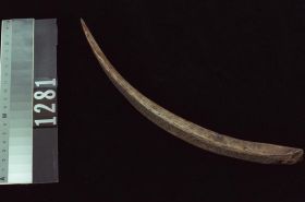 Image representing Knife.