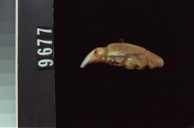 Image representing Charm.