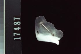Image representing Brooch.