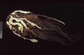 Image representing Headdress.