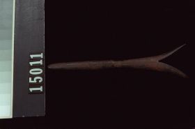 Image representing Head.
