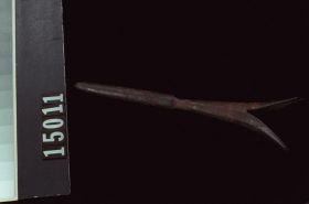 Image representing Head.