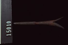 Image representing Head.