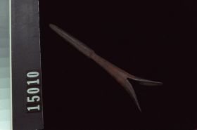 Image representing Head.