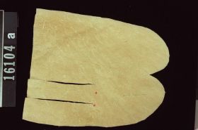 Image representing Moccasin.
