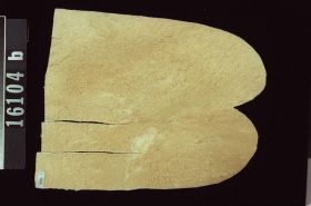 Image representing Moccasin.