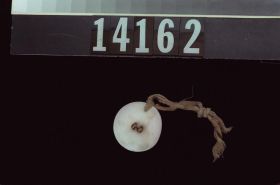 Image representing Button.