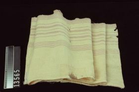 Image representing Blanket.