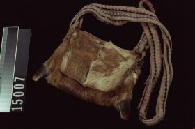 Image representing Pouch.