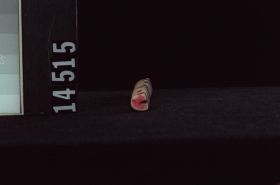 Image représentant Pole, model