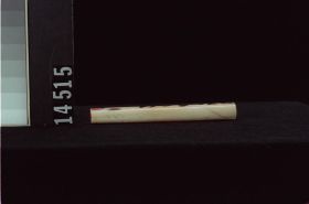 Image représentant Pole, model