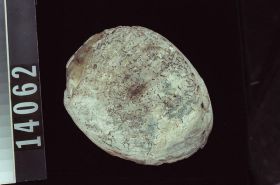 Image representing Raw Material.