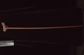Image representing Cane.