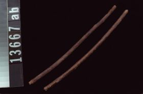 Image representing Twig.