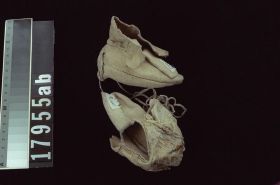 Image représentant Moccasin
