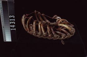 Image representing Crown.