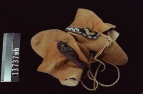 Image representing Moccasin.