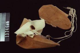 Image representing Moccasin.