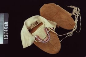 Image representing Moccasin.