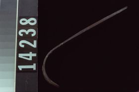 Image representing Blade.