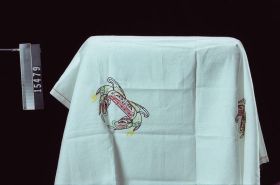Image representing Cloth.