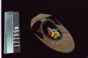 Image representing Moccasin.
