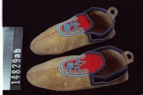 Image representing Moccasin.