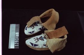 Image representing Moccasin.