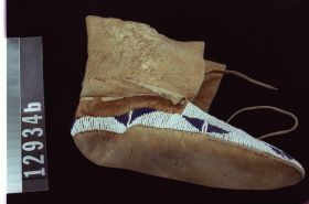 Image representing Moccasin.
