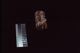 Image representing Whistle.