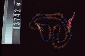 Image representing Bead.