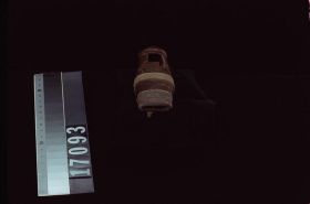 Image representing Whistle.