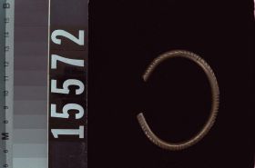 Image representing Bracelet.