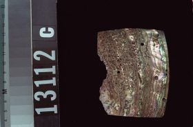 Image representing Plaque.
