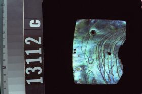 Image representing Plaque.