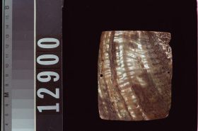 Image representing Object.
