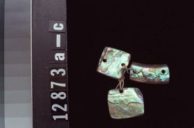 Image representing Abalone.