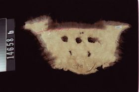 Image representing Hat; Pelt.
